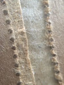 Grainy fibrous cardboard